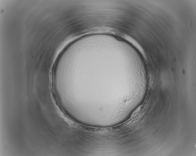 X0000073711099200608311748