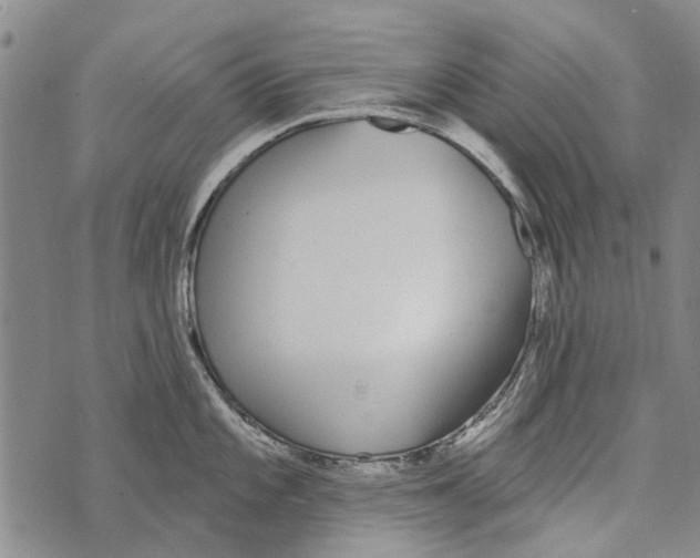 X0000073711101200608311748