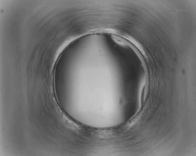 X0000073711102200608311748