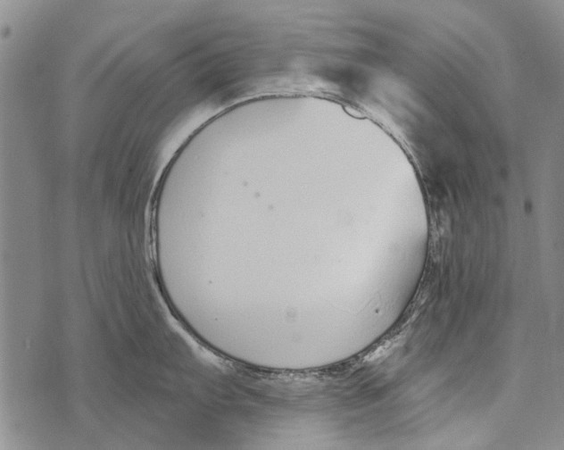 X0000073711103200608311748