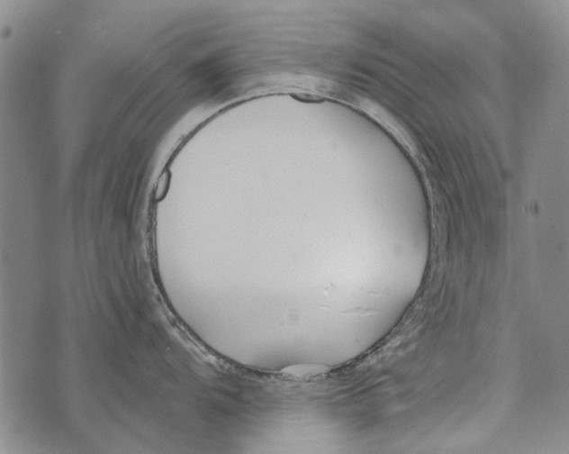 X0000073711104200608311748