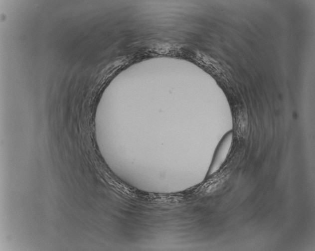 X0000073711105200608311747