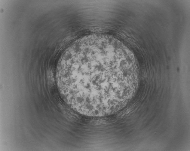 X0000073711106200608311747