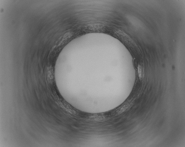 X0000073711107200608311747