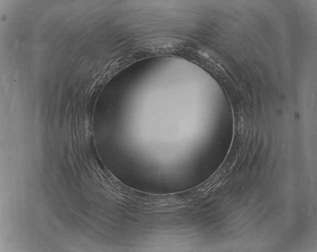 X0000073711108200608311747