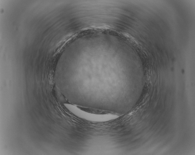 X0000073711110200608311747