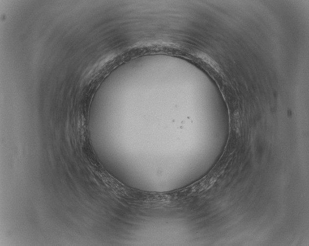 X0000073711111200608311747