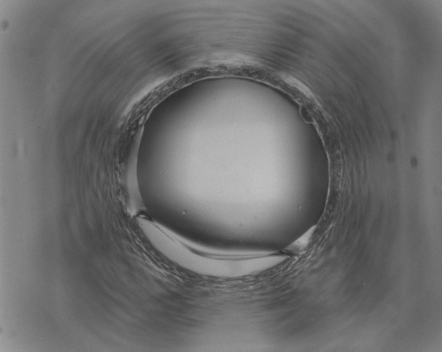 X0000073711112200608311747