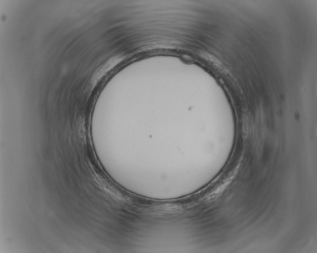 X0000073711113200608311748