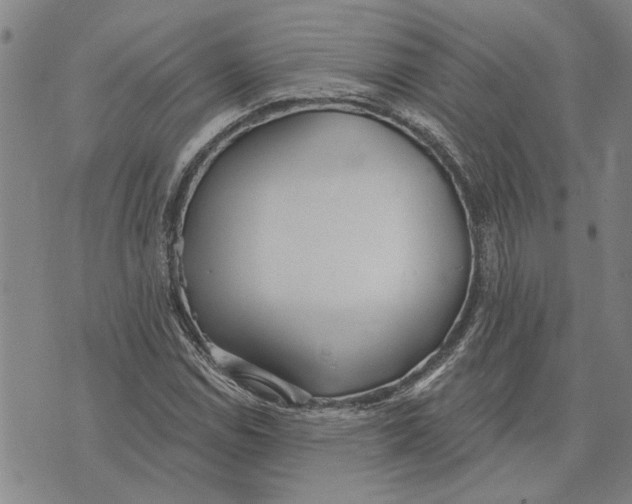 X0000073711114200608311748