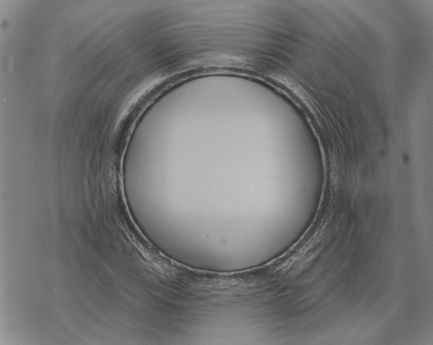 X0000073711115200608311748