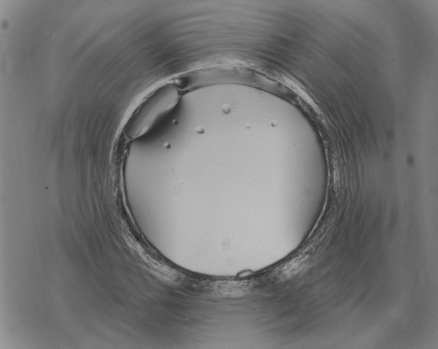 X0000073711116200608311748