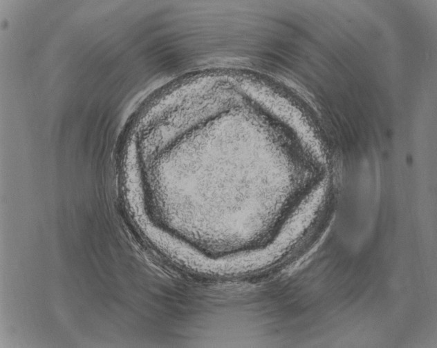 X0000073711117200608311748