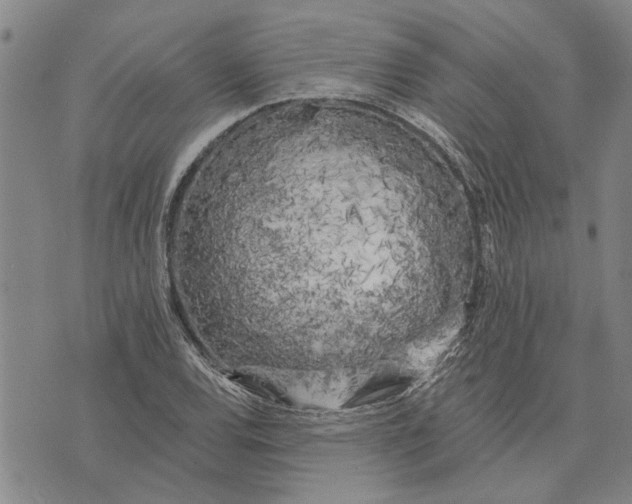 X0000073711120200608311748