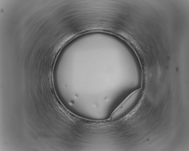 X0000073711121200608311748