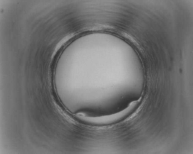 X0000073711122200608311748