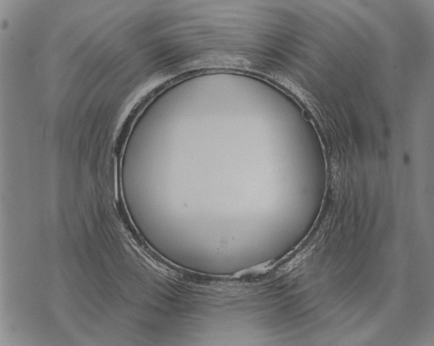 X0000073711123200608311748