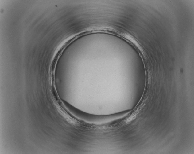 X0000073711124200608311748