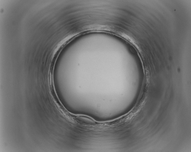 X0000073711125200608311748