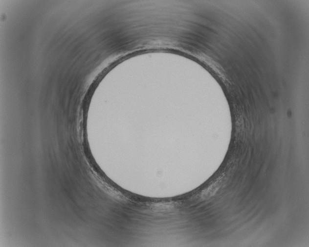 X0000073711126200608311748