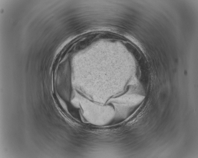 X0000073711127200608311748