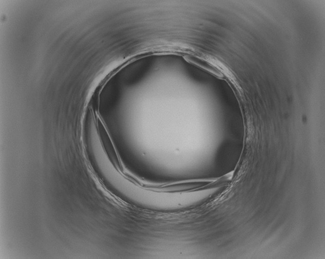 X0000073711128200608311748