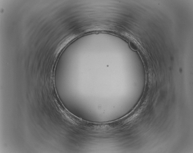 X0000073711129200608311748