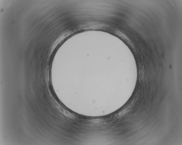 X0000073711130200608311748