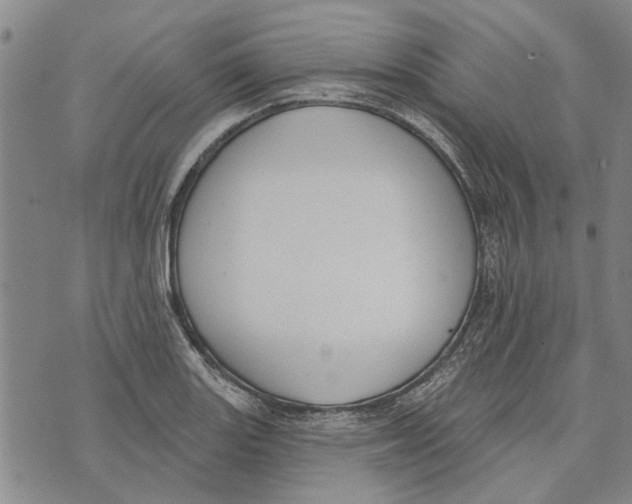 X0000073711131200608311748