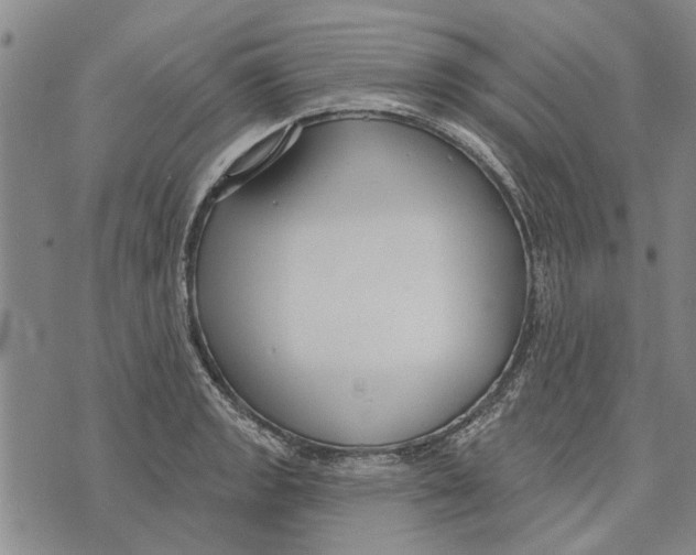 X0000073711133200608311748