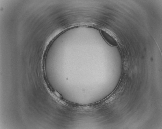 X0000073711135200608311748