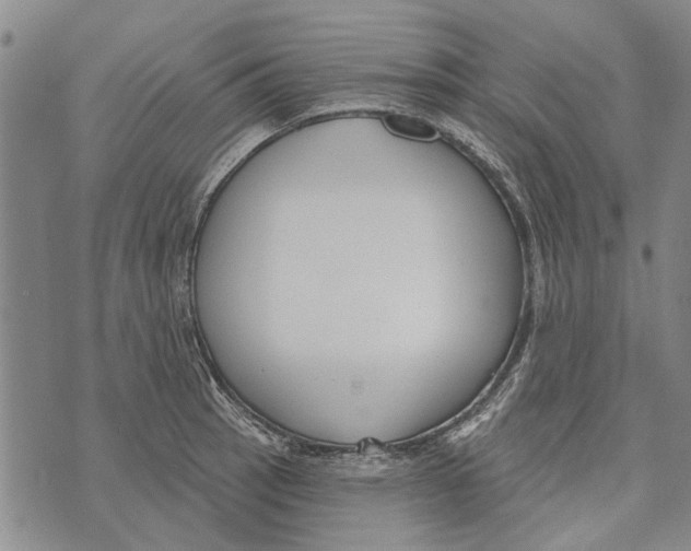 X0000073711137200608311748