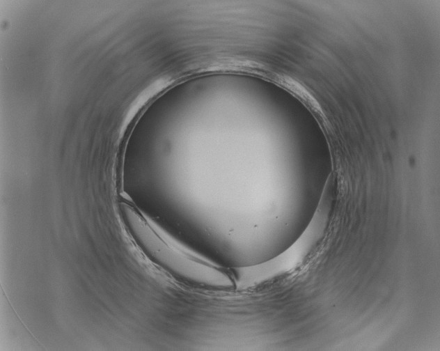 X0000073711138200608311748