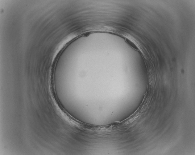 X0000073711139200608311748