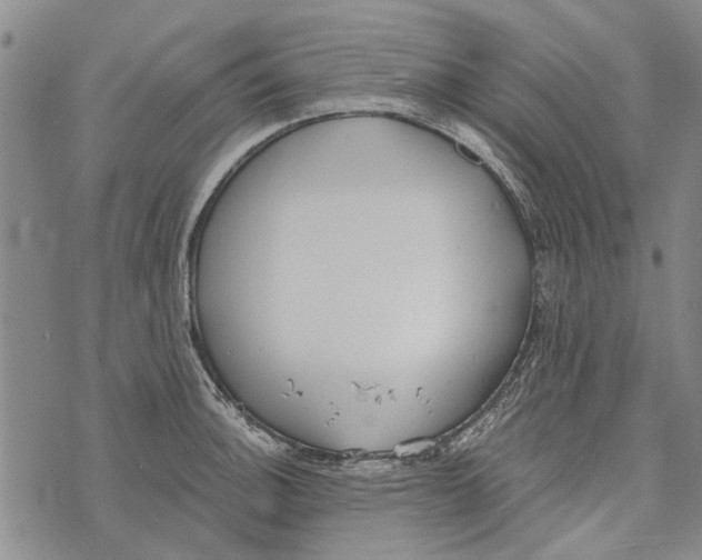 X0000073711140200608311748