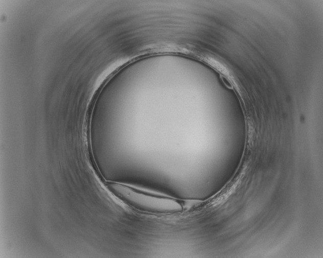 X0000073711141200608311748