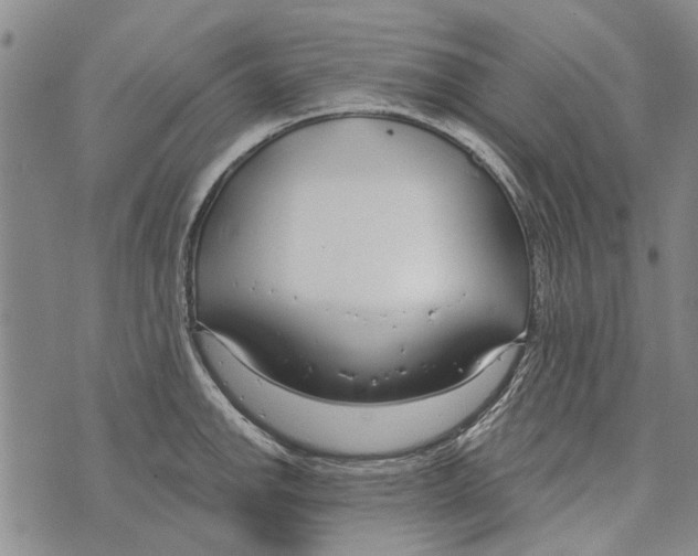 X0000073711142200608311748