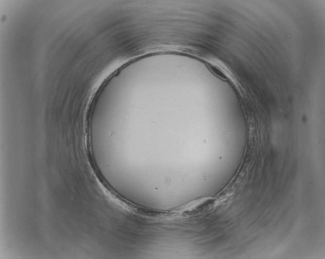 X0000073711143200608311748