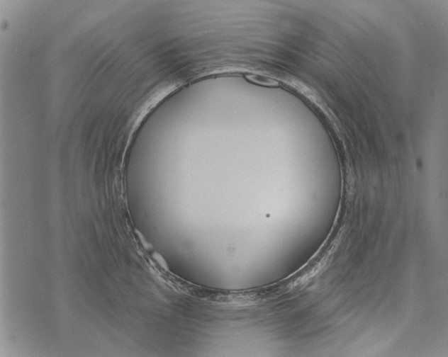 X0000073711145200608311748