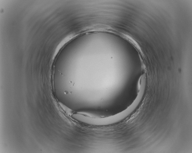 X0000073711146200608311748