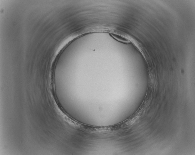 X0000073711147200608311748