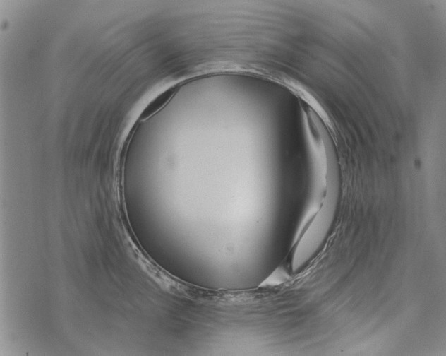 X0000073711148200608311748