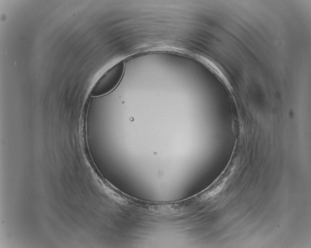 X0000073711149200608311748