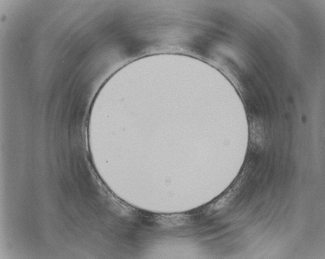 X0000073711150200608311748