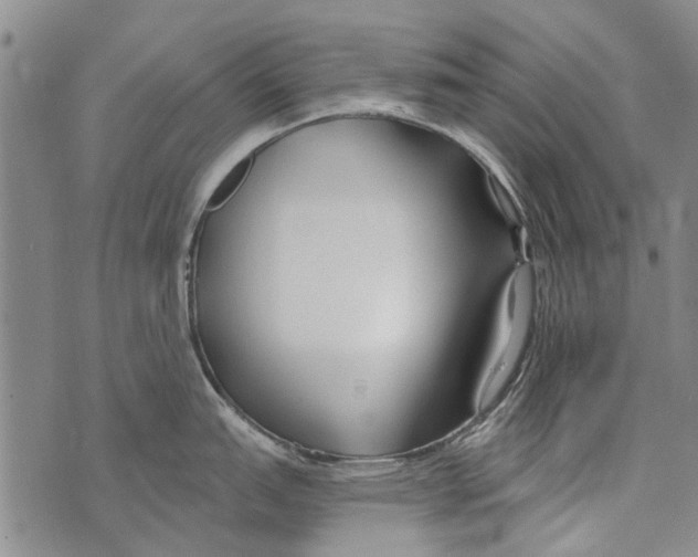 X0000073711151200608311748