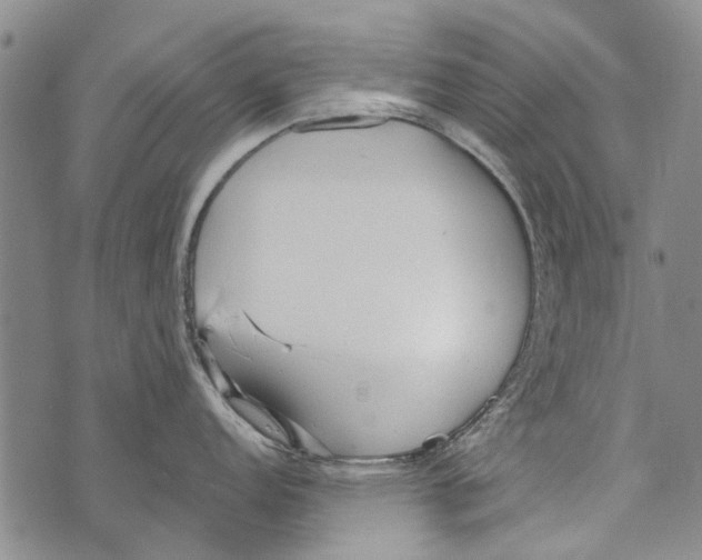 X0000073711152200608311748