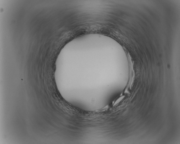 X0000073711153200608311747