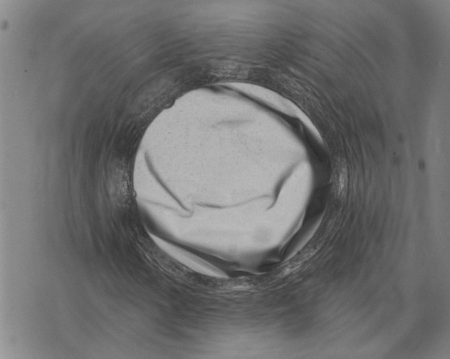 X0000073711154200608311747