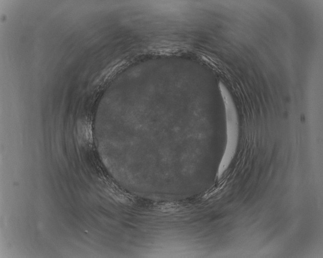 X0000073711155200608311747