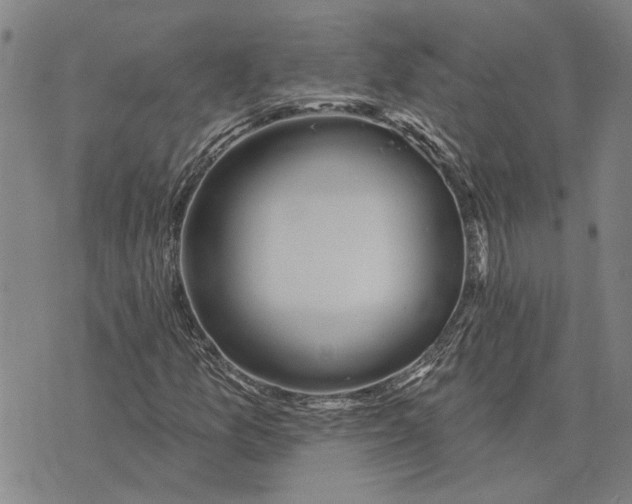 X0000073711157200608311747